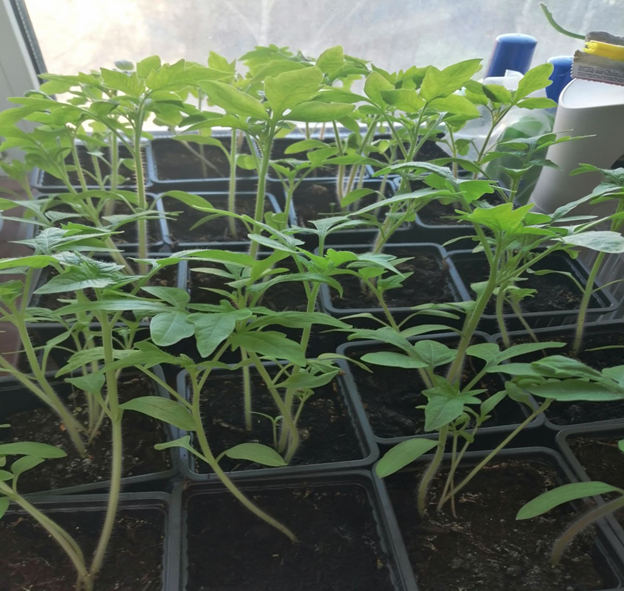 По завершении работы обязательно помойте руки! 