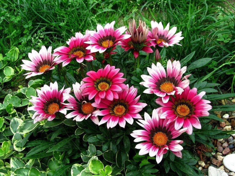 Фотография из сети Интернет