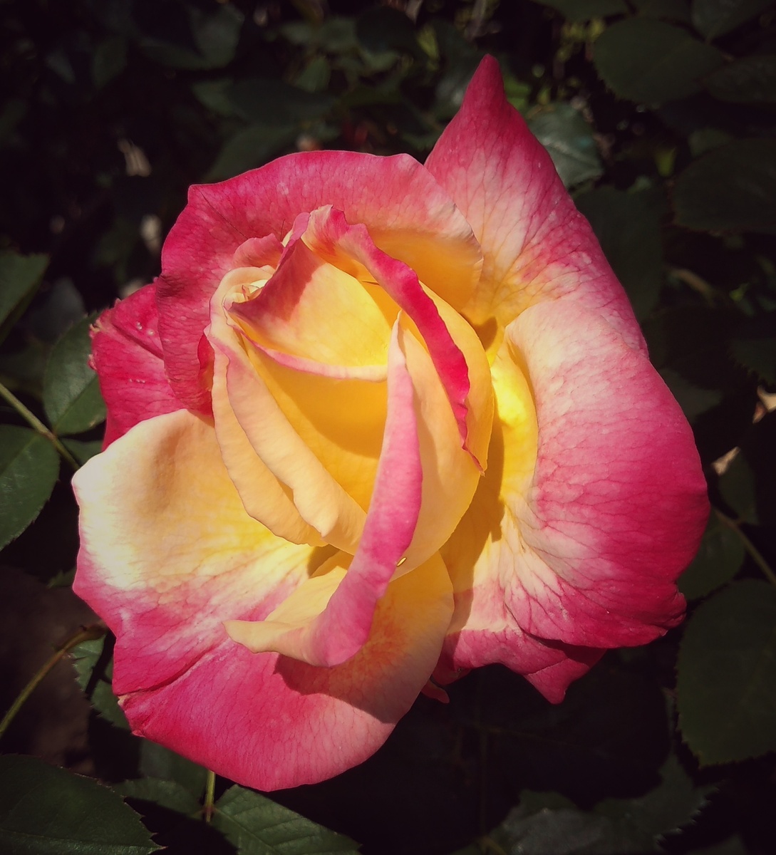 Фото из личного архива автора.