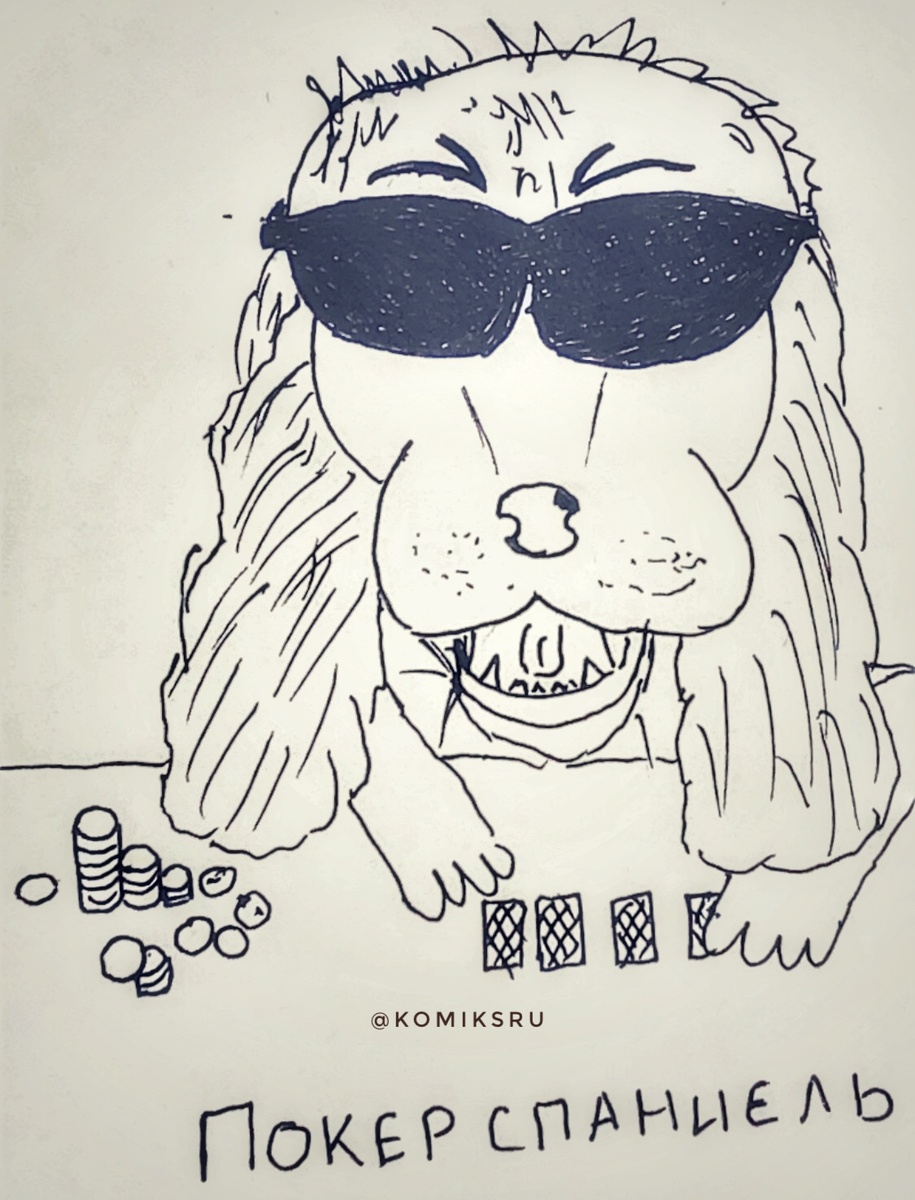 Кокер-спаниель