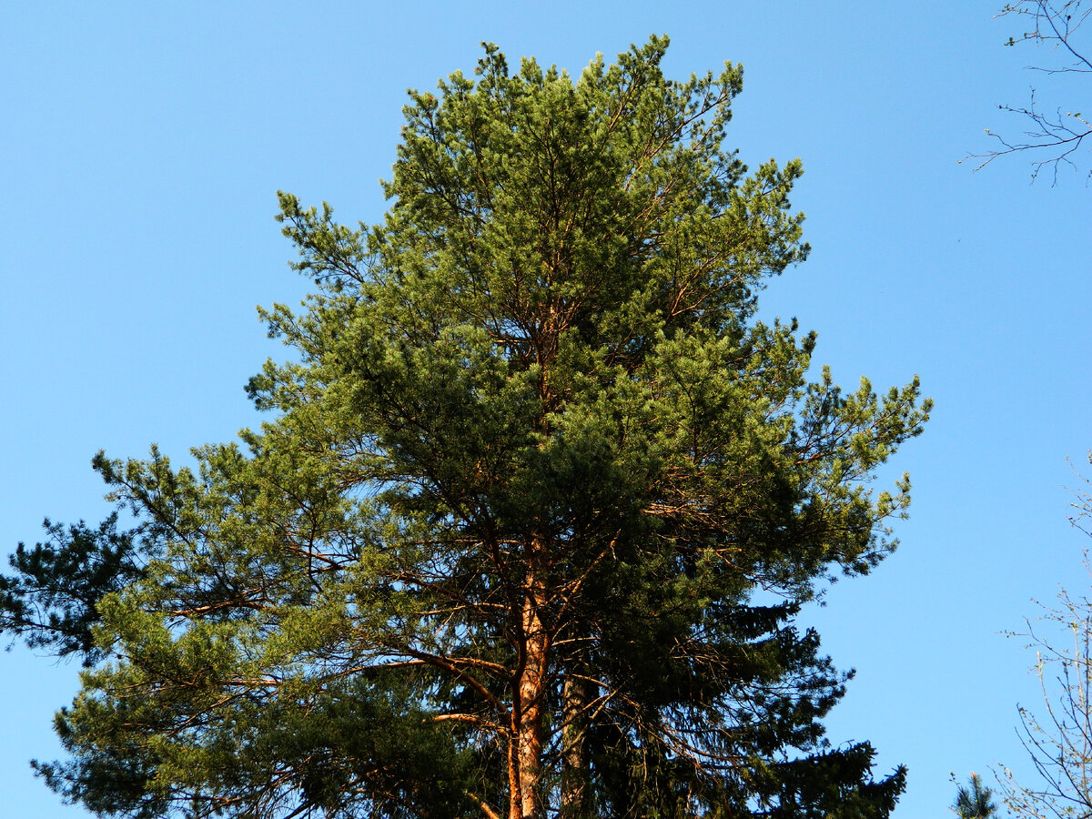 фото автора канала