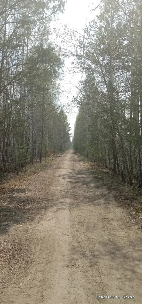 Участок трассы после торфяников 