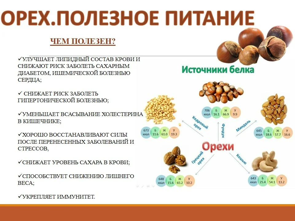 Когда детям можно давать орехи. Чем полезны орехи. Полезные орехи для организма. Полезные вещества в орехах.