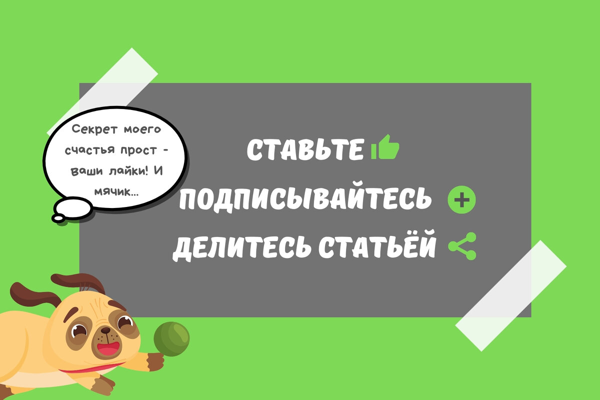 Что родителям ни в коем случае нельзя говорить детям перед экзаменами | По  чуть-чуть о разном | Дзен