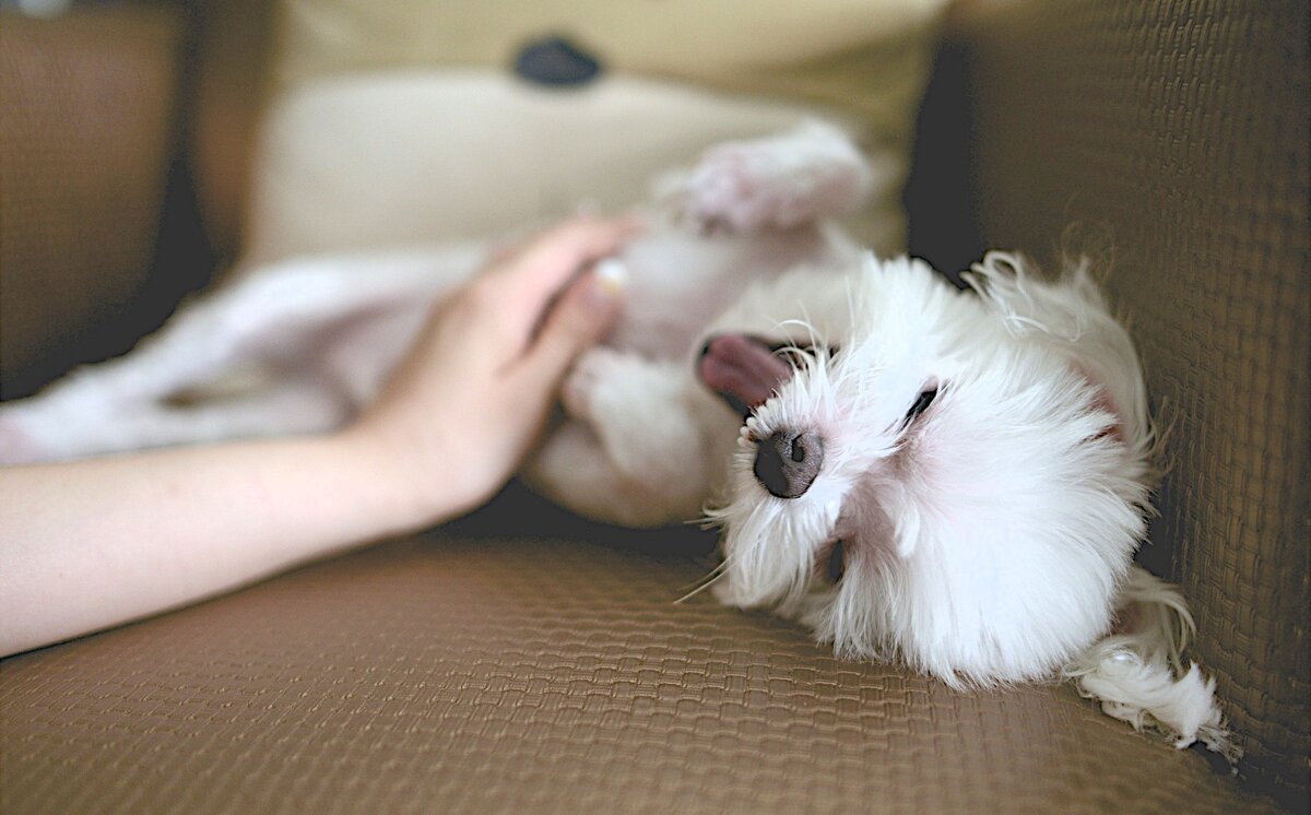 Никогда не оставляет одного