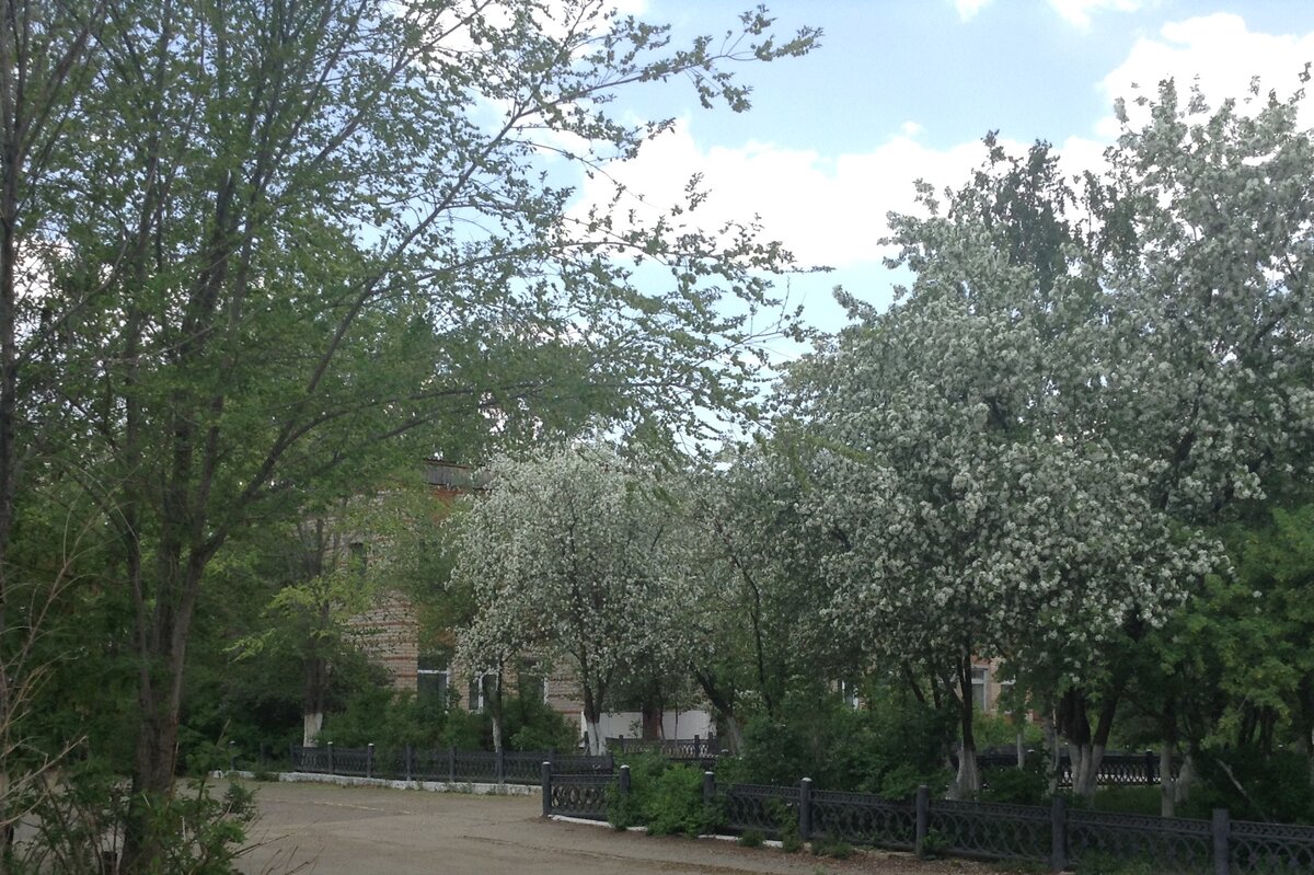 Уйский белово погода