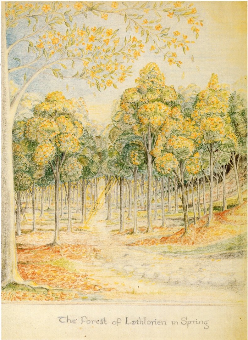 Лес Лотлориэн весной, иллюстрация Дж.Р.Р. Толкина.