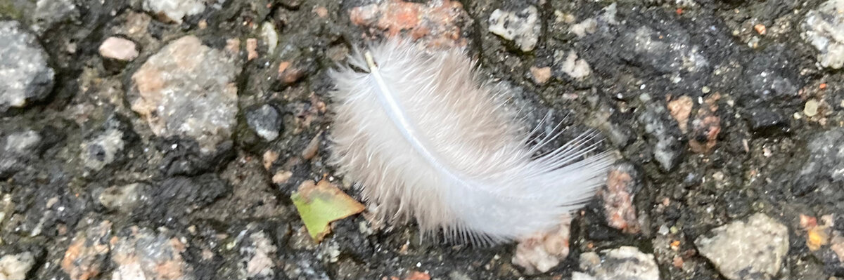  «мы с тобой, мы рядом, всё будет хорошо»