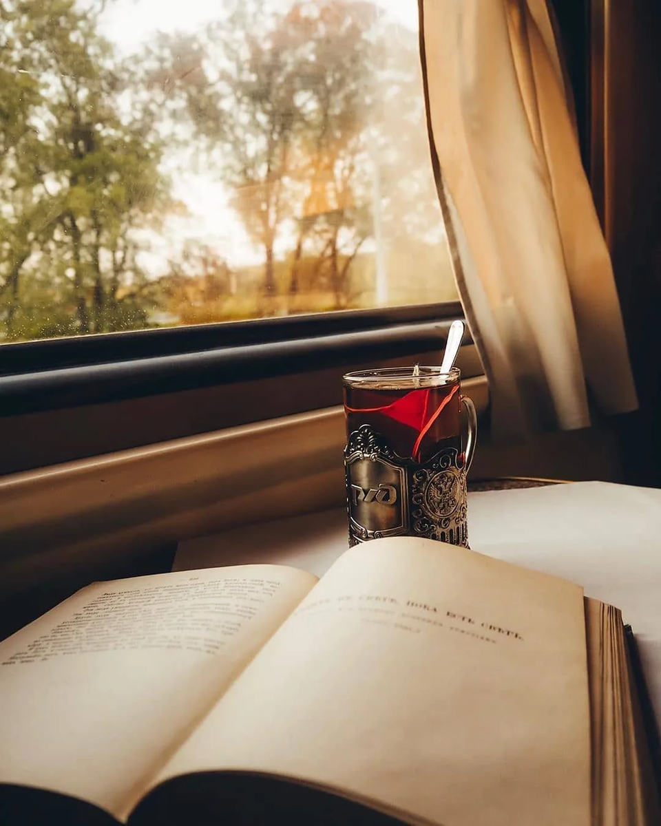 мужчина и женщина в поезде. детская книга про железную дорогу. детские книги про поезда. девушка с книгой в электричке. книжка про поезда.