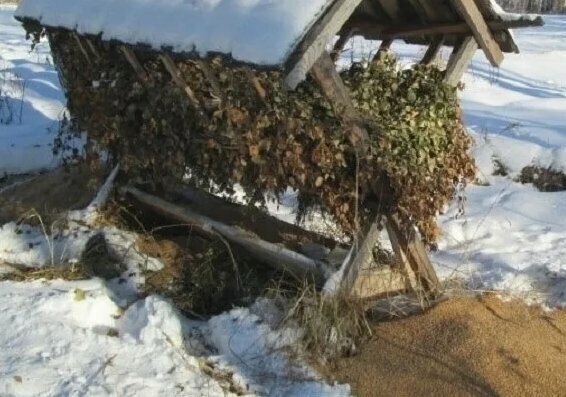 Добавьте описание