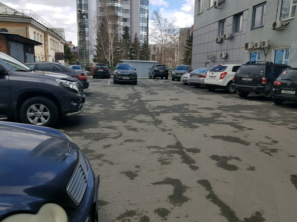 Данное фото использовано в качестве примера, дополняющего информацию статьи. 