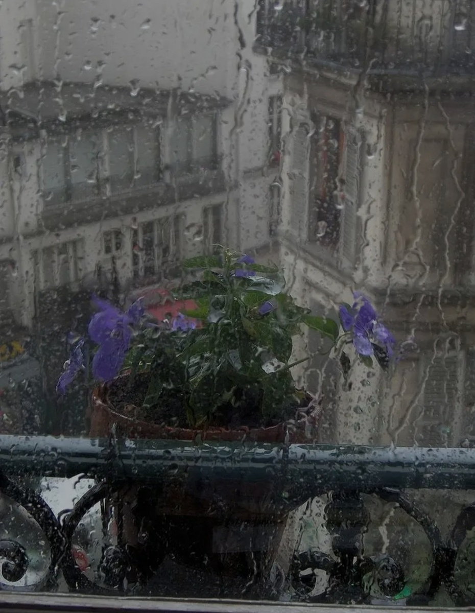 Не знаю как вы но мне очень нравиться )