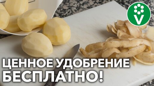 Не выбрасывайте картофельные очистки - это отличная подкормка для растений!