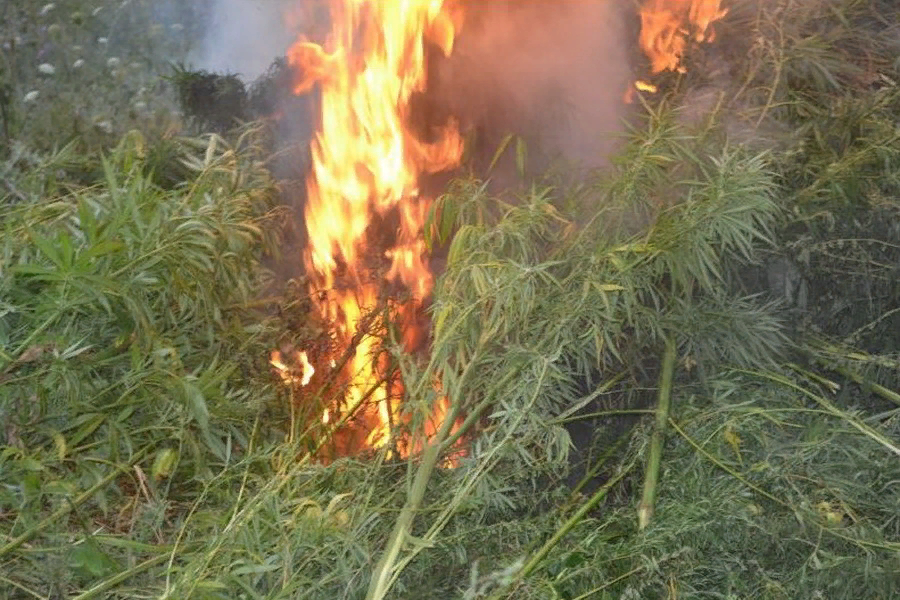Изображение взято из открытых источников.