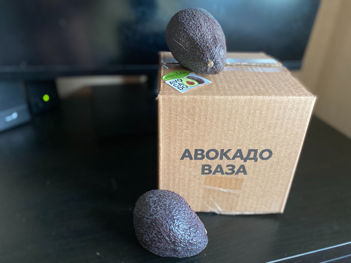 Ваза для авокадо проращивания