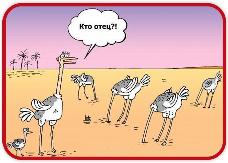 источник Яндекс-картинки