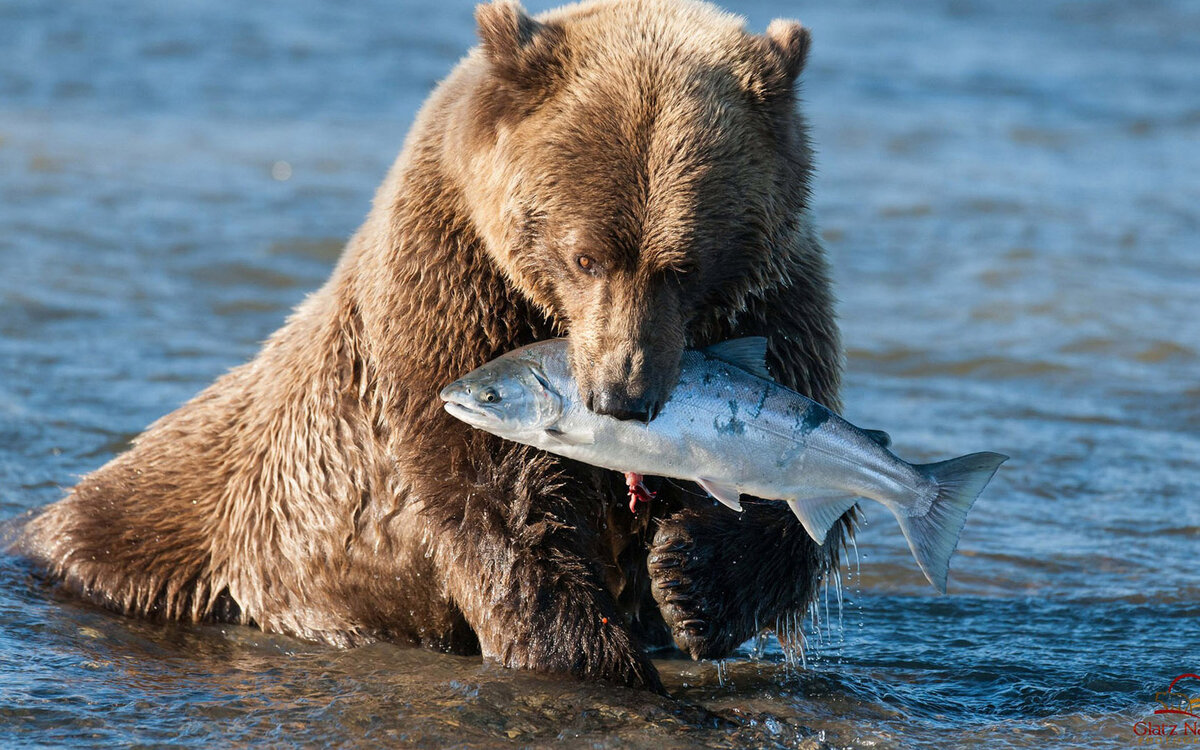 фото для обложки sunhome.ru