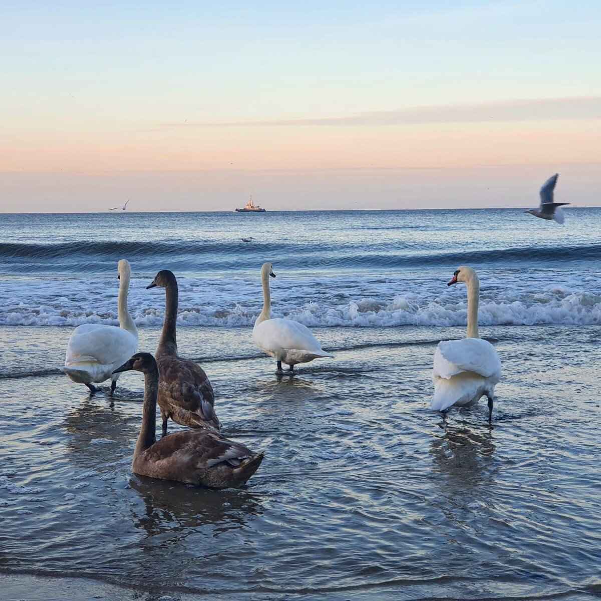 Город Пионерский (Нойкурен) в Калининградской области. Ноябрь 2021 г.