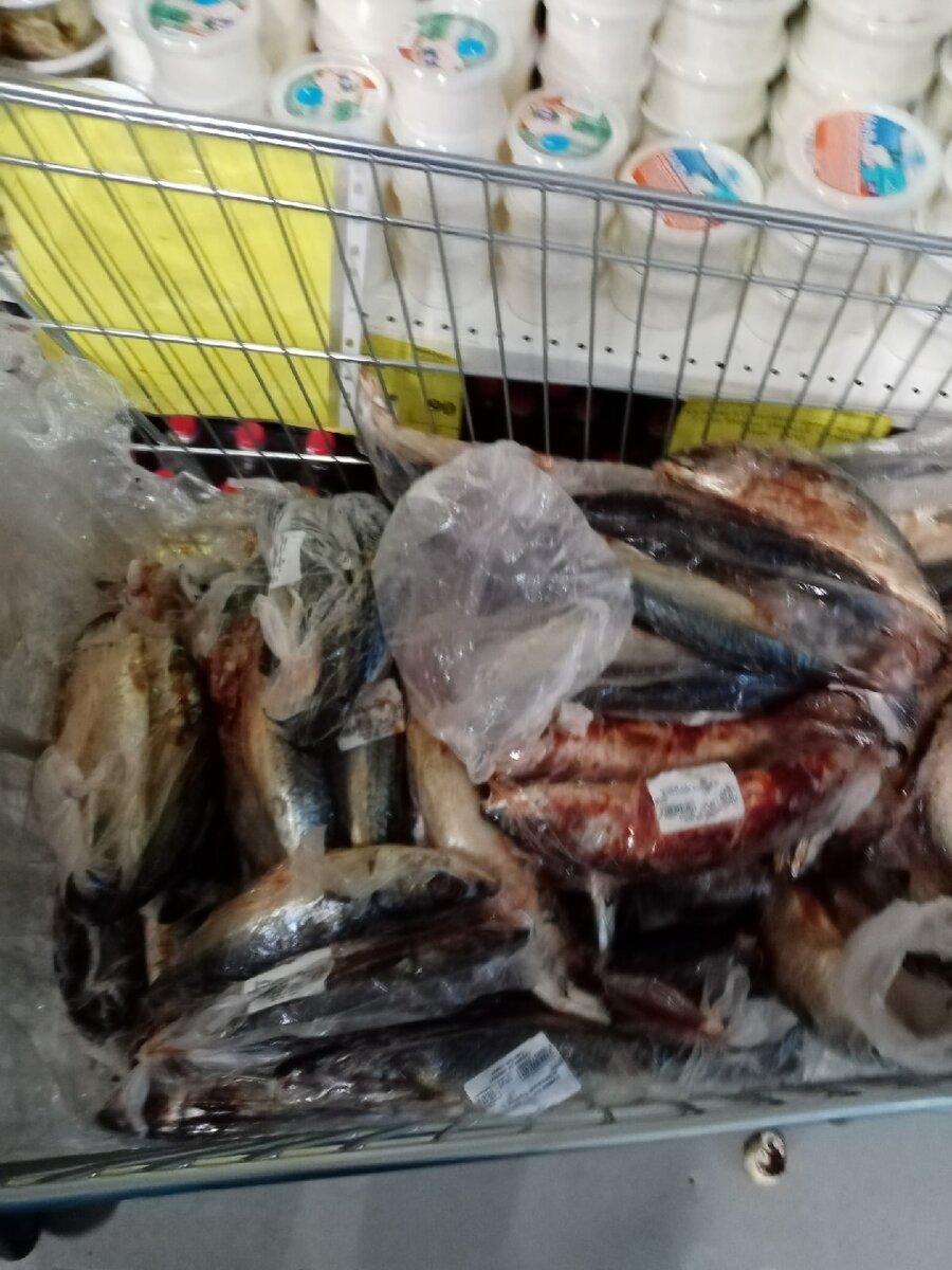 Скумбрия свежемороженая в Светофоре
