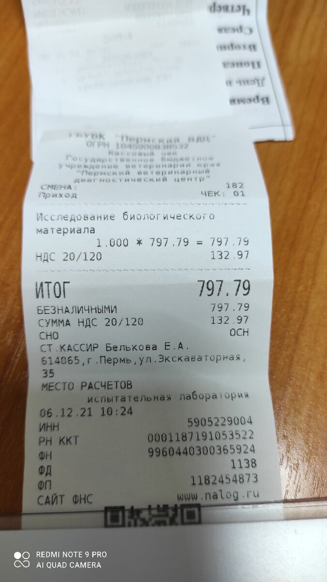фото из личного архива Светланы