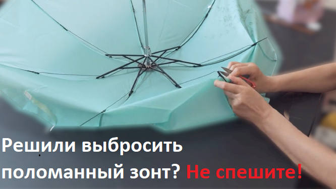 Полезное видео: Как правильно выбрать зонт и ухаживать за ним