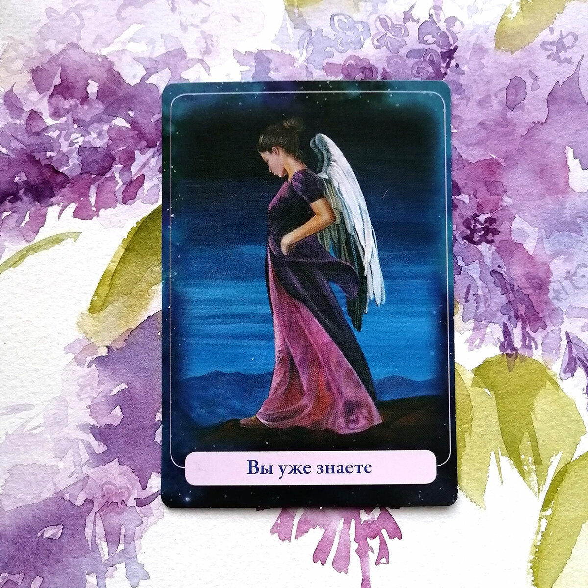 Личное фото автора.