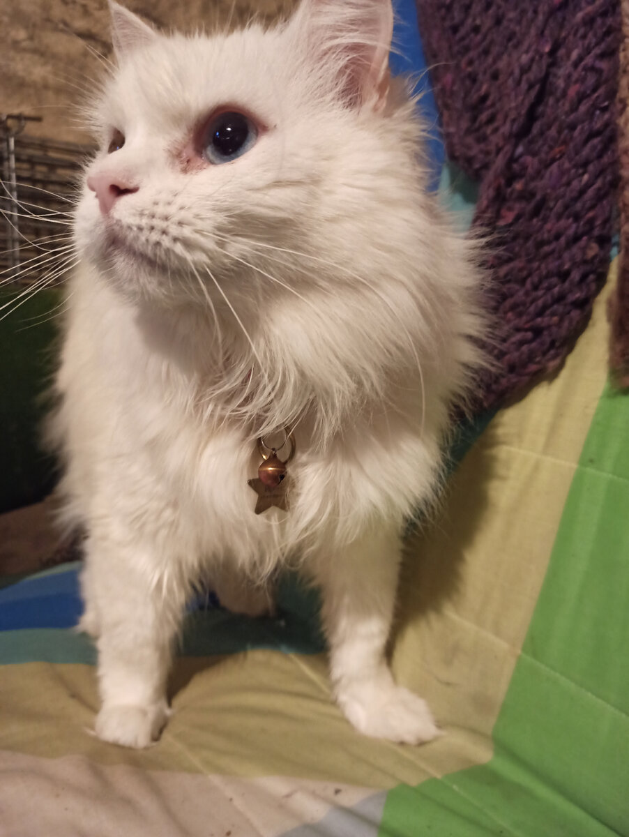 Фото из личного архива