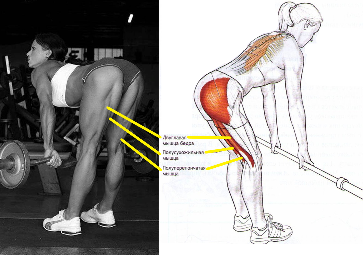 На фото Оксана Гришина - российская участница международных соревнований по ББ