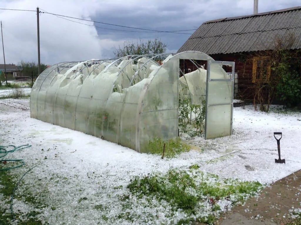 Зимняя теплица с отоплением для дома