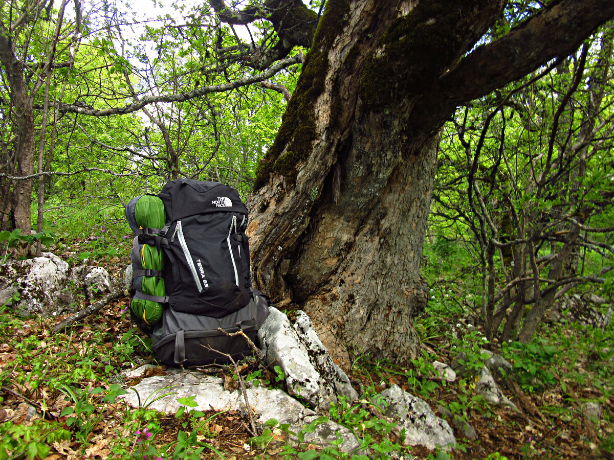 Вот почему в Крым надо ехать весной и совсем не на море. Другой Крым ...