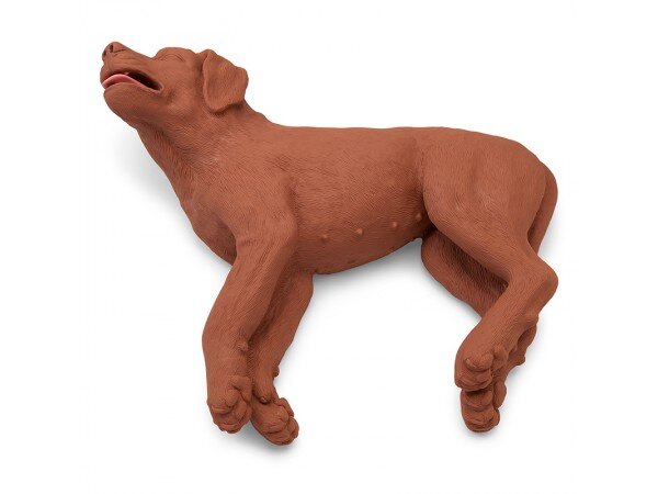 Манекен для тренировки сердечно-лёгочной реанимации