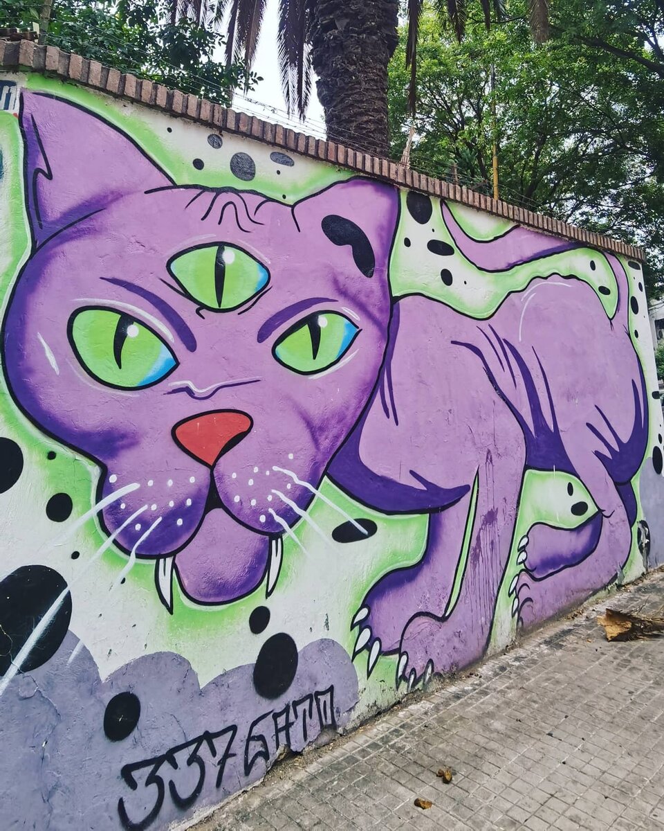 337 gato стритарт в Аргентине санта Фе, streetart Argentina, граффити в Аргентине