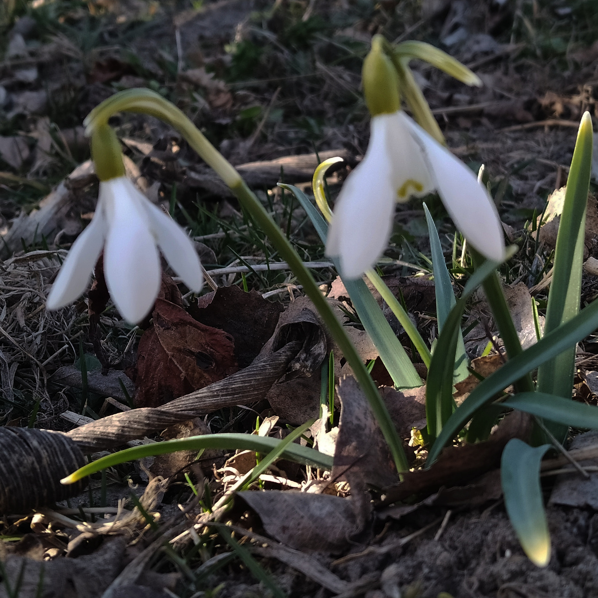 Фотография автора 