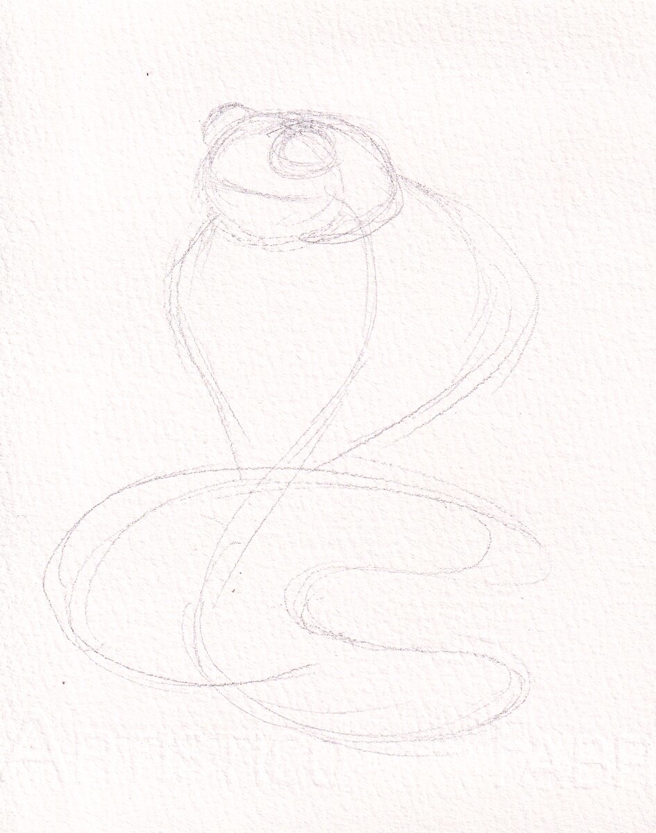 Рисуем основные элементы змеи