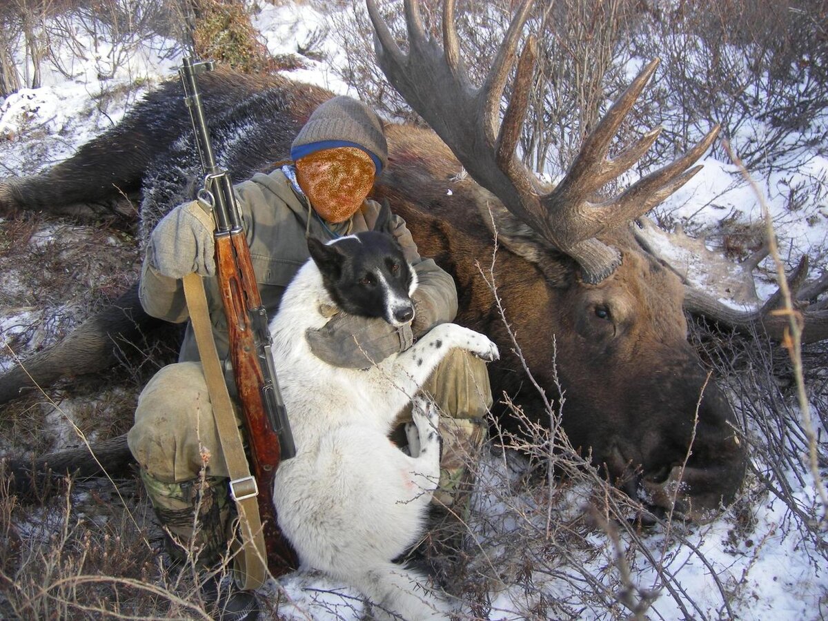 Охота на лося в Якутии с Александром Борисовым