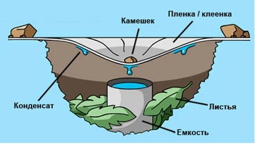 картинка с просторов интернета