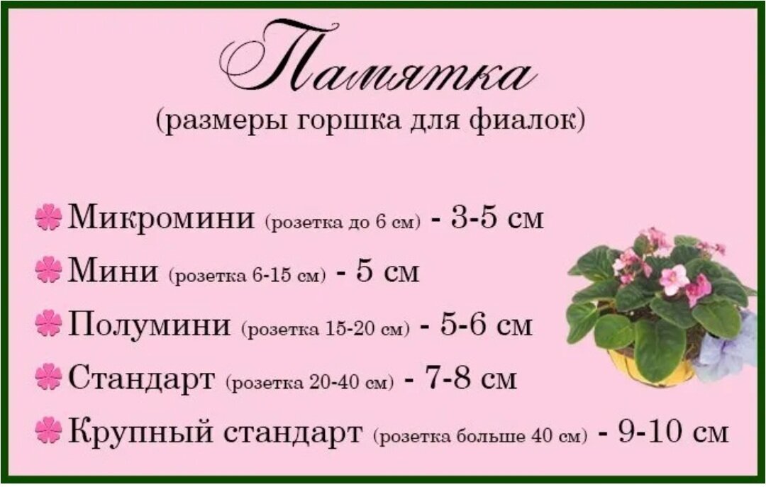 Фото из открытых источников информации.