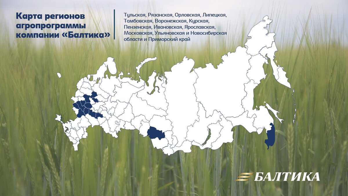 Подходящий климат для выращивания ячменя есть в семи областях России — Белгородской, Курской, Орловской, Тульской, Рязанской, Липецкой и Воронежской. Именно там сосредоточена агропрограмма «Балтики» 