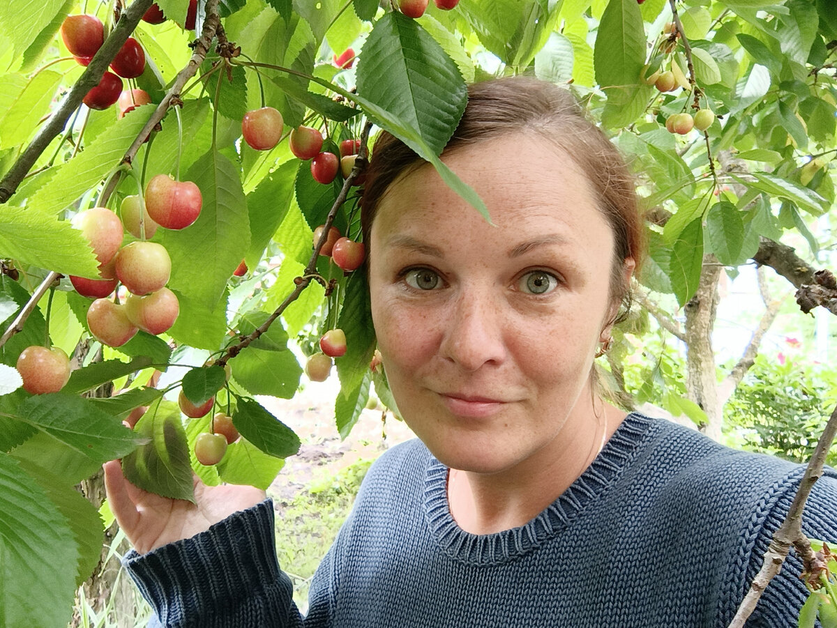 Опустила плодовые деревья с небес на землю: резала их, резала, а урожая  меньше не стало✊ | Дом необычных вещей | Дзен