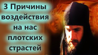 3 Причины воздействия на нас плотских страстей. Отец Андрей с мудрой беседой