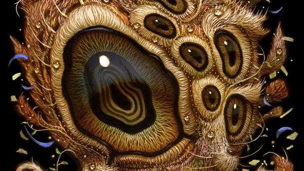 Наото Хаттори