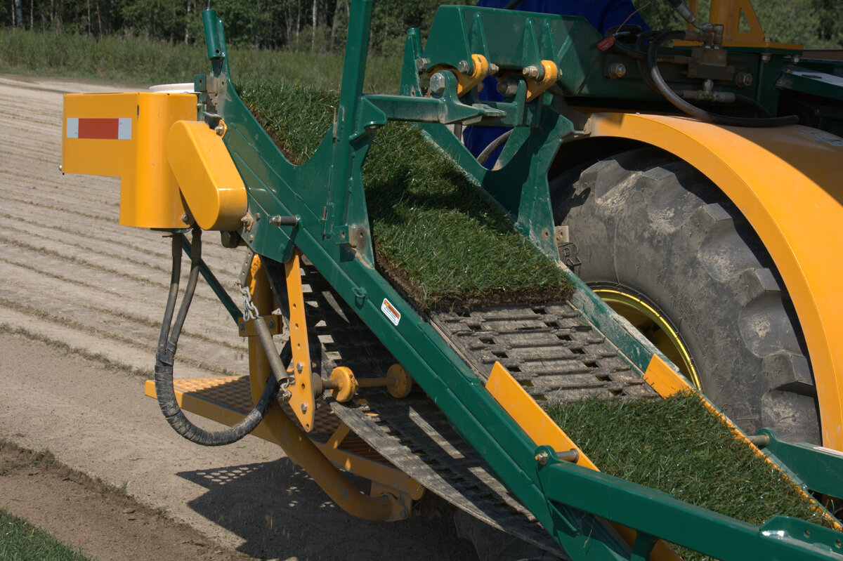 Слабами здорово заделывать проплешины в уже существующем газоне.