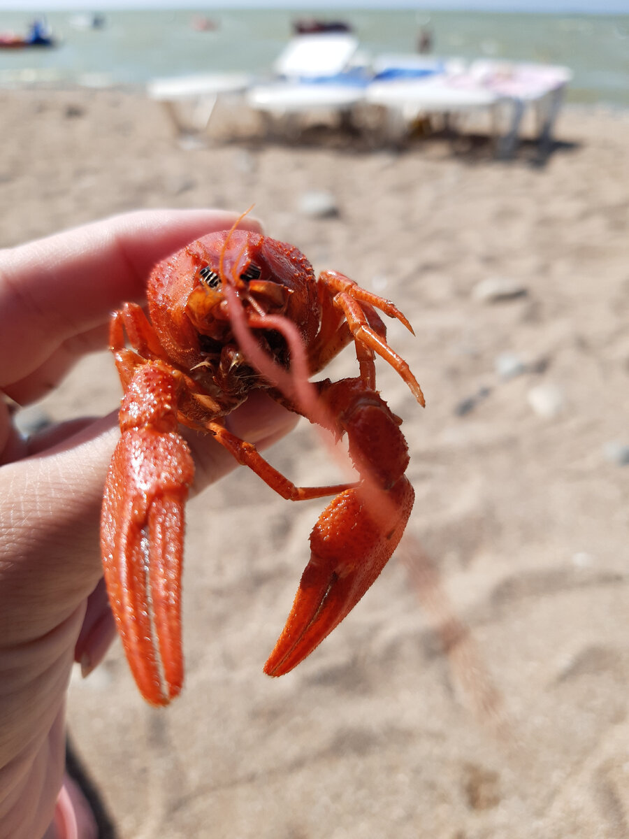 Привет всем с Азовского моря.