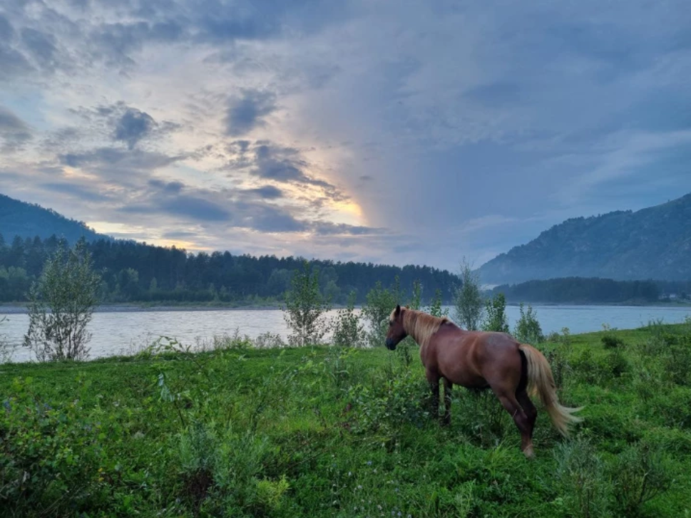 Фото: Ваши личные финансы