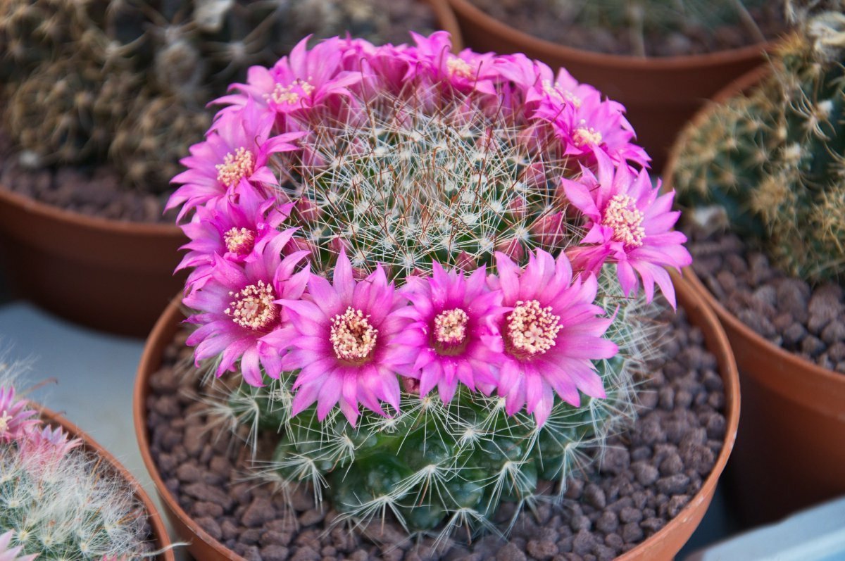 Источник waysi.ru