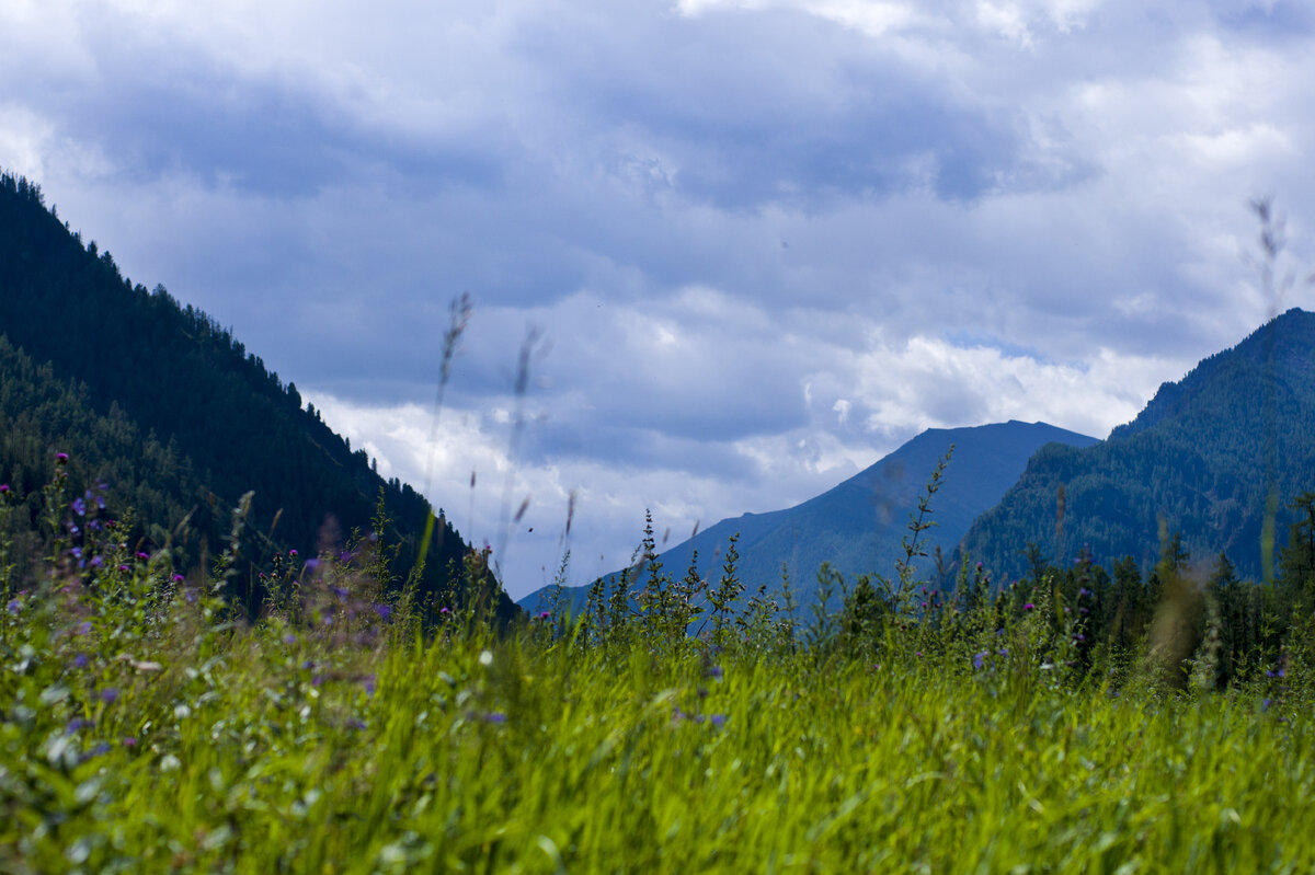 Волшебный вид, но это ещё не альпийские луга :)