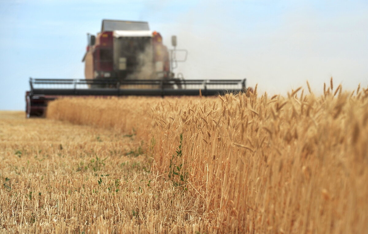 Рогулин Дмитрий/ТАСС
