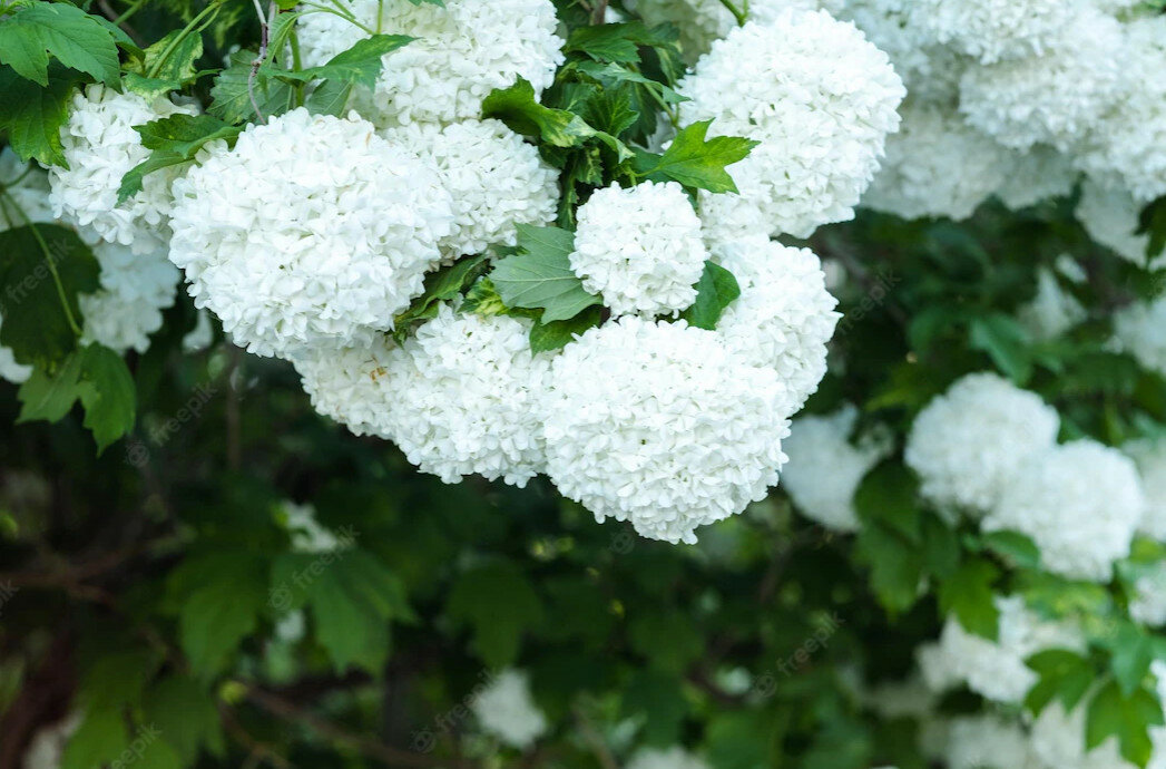 Источник: https://ru.freepik.com