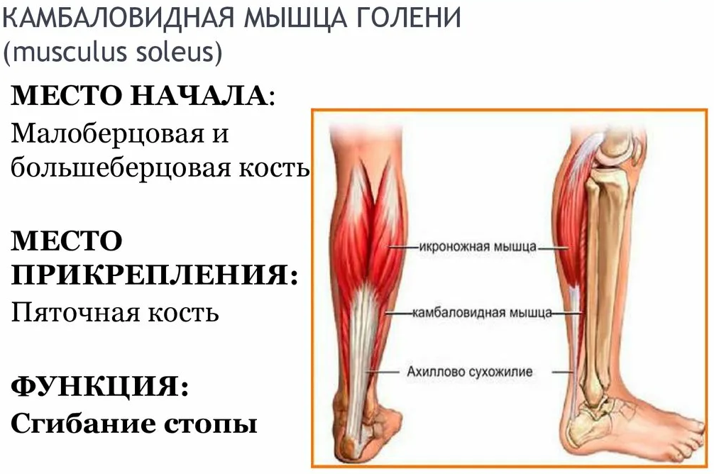 Боли в икрах ног после бега и ходьбы, причины и методы лечения боли