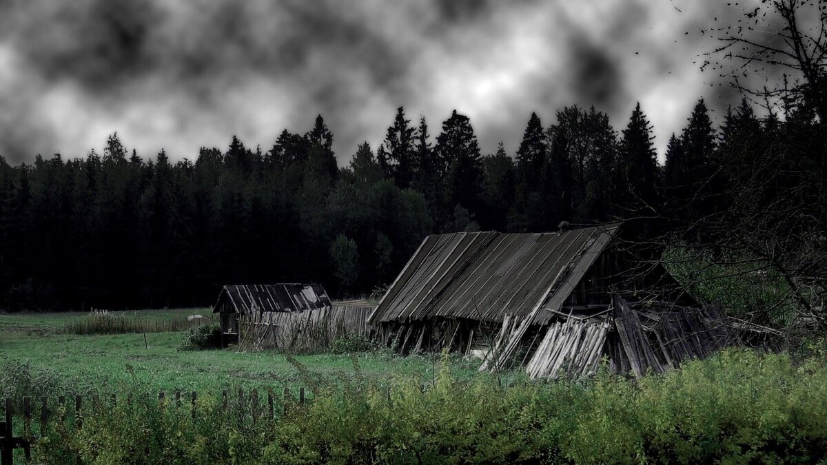 фото из открытых источников интернета